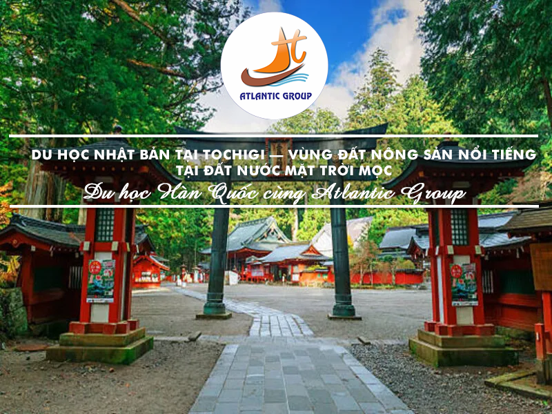 Du Học Nhật Bản Tại Tochigi – Vùng Đất Nông Sản Nổi Tiếng Tại Đất Nước Mặt Trời Mọc