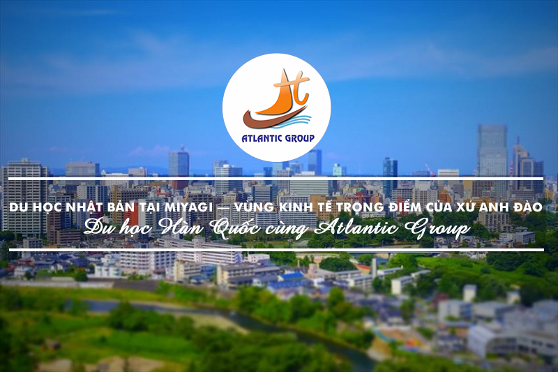 Du Học Nhật Bản Tại Miyagi – Vùng Kinh Tế Trọng Điểm Của Xứ Anh Đào